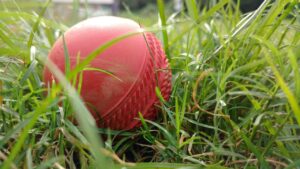 Cricket record